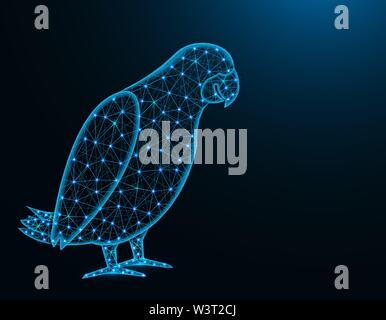 Jaco parrot Low-Poly Modell, Afrikanische Tier abstrakte Grafiken, Vogel polygonalen Drahtmodell Vector Illustration auf dunkelblauem Hintergrund Stock Vektor