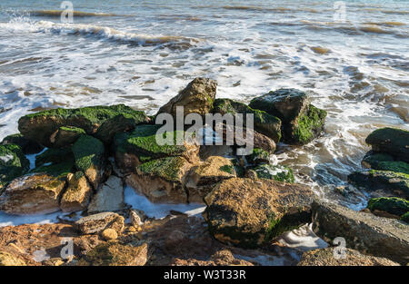 Steine mit grünen Algen an der Küste des Schwarzen Meeres in der Nähe des Dorfes Fontanka, Ukraine abgedeckt Stockfoto