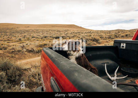 Landwirte Und Hund Mit Pickup Truck Stockfotografie Alamy