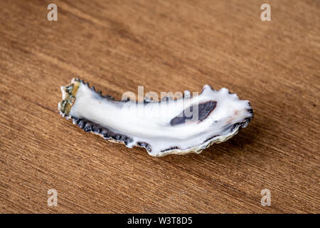 Tropic oyster Sea Shell, die in der australischen Nigaloo Riff Stockfoto
