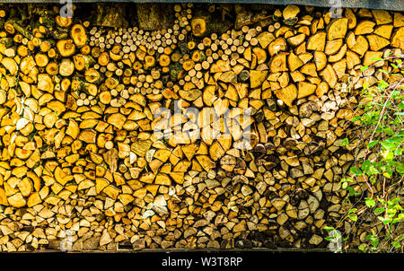 Holzstapel in Grevenbroich, Deutschland Stockfoto