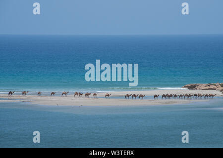 Oman und Dhofar Region, in der Nähe von Salalah, Khor Rori. Strand Blick auf das Arabische Meer von historischen Sumhuram, Teil der Weihrauch Trail. Gehört der Wilden kam Stockfoto
