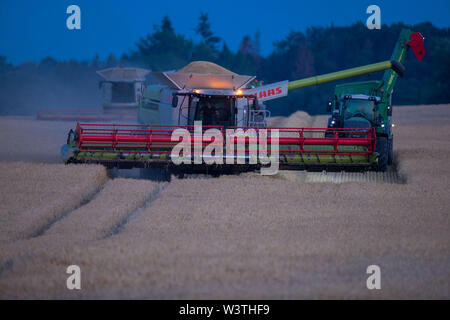 17 Juli 2019, Mecklenburg-Vorpommern, Brüsewitz: Nach Sonnenuntergang, Mähdrescher fahren Sie über ein Feld in der Nähe von brüsewitz und in der Ernte bringen. Für die Landwirte in Mecklenburg-Vorpommern die Hauptkulturen sind Getreide, Raps und Mais. Weizen wächst auf rund 300.000 Hektar, fast 30 Prozent der Anbaufläche. Nachdem die Gerste mähen, die Weizenernte könnte an der Wende der Woche beginnen, falls das Wetter weiterhin trocken zu werden. Foto: Jens Büttner/dpa-Zentralbild/dpa Stockfoto