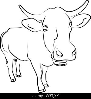 Close up Kuh Skizze, Illustration, Vektor auf weißem Hintergrund. Stock Vektor