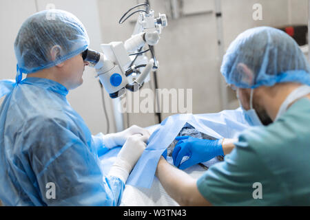 Eine professionelle Augenarzt führt Augenoperationen mit einem Mikroskop. Der Anästhesist kontrolliert die Anästhesie und den Zustand des Hundes durin Stockfoto