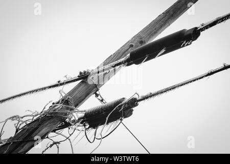 Monochromes Bild von eisbedeckten Stromleitungen in der Nähe von Little Switzerland, North Carolina, USA, nach einem Eissturm. Stockfoto