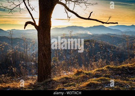 Winterliche am späten Nachmittag Sonne Sonnenuntergang Berg, nähe Bakersville, North Carolina, USA. Stockfoto