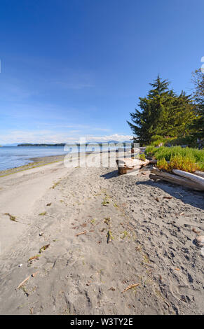 Abgelegenen Strand in der Nähe von Port Hardy auf Vancouver Island Stockfoto