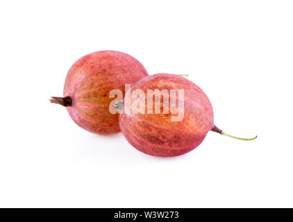 Stachelbeeren rote Stachelbeere isoliert auf weißem Hintergrund Stockfoto