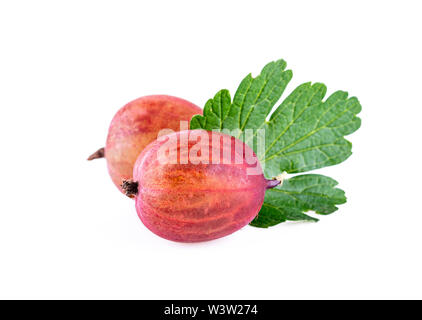 Rote Stachelbeeren mit Blatt auf weißem Hintergrund Stockfoto