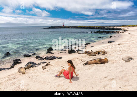 Galapagos Touristen genießen, sitzen von Galapagos Meer Löwen Stockfoto