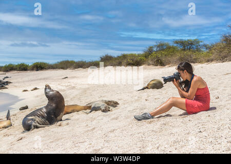 Galapagos Tourist genießen, sitzen am Galapagos Meer Löwen fotografieren Stockfoto