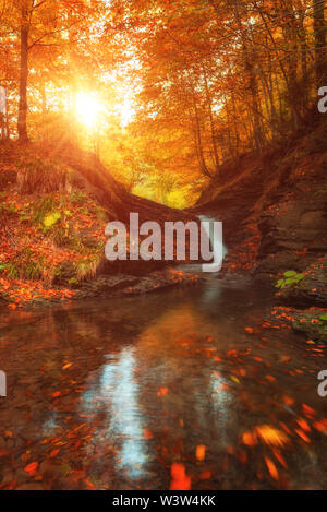 Goldener Herbst Landschaft, Mountain Creek mit kleiner Wasserfall in der felsigen Schlucht sonnigen umgeben von Wald, Bild vertikal, Karpaten Stockfoto