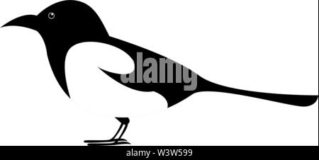 Magpie Vogel, Illustration, Vektor auf weißem Hintergrund. Stock Vektor