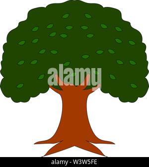 Big Oak Tree, Illustration, Vektor auf weißem Hintergrund. Stock Vektor