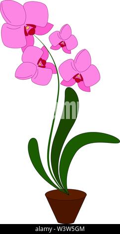 Pink Orchid Flower, Illustration, Vektor auf weißem Hintergrund. Stock Vektor