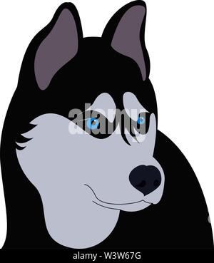 Siberian husky mit blauen Augen, Illustration, Vektor auf weißem Hintergrund. Stock Vektor