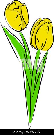 Gelbe Tulpen, Illustration, Vektor auf weißem Hintergrund. Stock Vektor