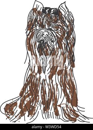 Yorkshire Terrier, Illustration, Vektor auf weißem Hintergrund. Stock Vektor