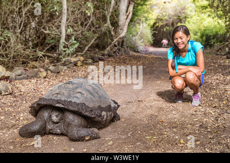 Galapagos Riesenschildkröte und Touristenfrau auf der Insel Santa Cruz Galapagos Stockfoto