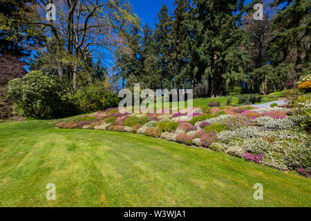 Schöne Kubota Garten in Seattle. Stockfoto