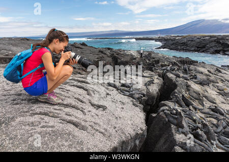 Galapagos touristische Fotograf Fotos von Meerechsen auf Fernandina Insel, Espinoza. Erstaunlich, Tierwelt, Natur und Tiere auf Galapagos, Ecuador, Südamerika. Stockfoto