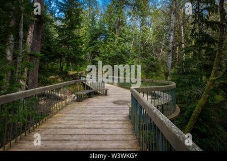 Hölzerne Brücke im Wald Stockfoto
