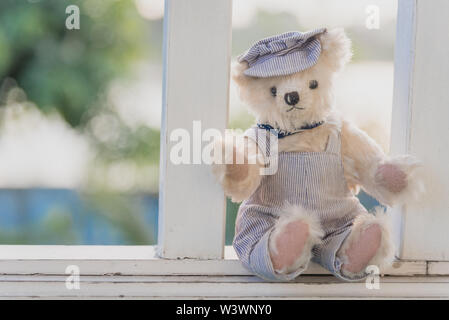 Vibrant outdoor Foto der Teddybär auf dem Hof an der Park mit dem weißen Blume und grüne Gräser Stockfoto