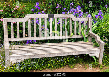 Purple Iris und Rosen einer Verwitterten Parkbank in einem Garten umgeben, ergänzen in schöner Harmonie. Stockfoto