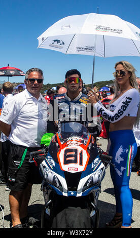 Monterey, CA, USA. 14. Juli, 2019. A. #81 Jordi Torres auf dem Gitter vor dem Motul FIM Superbike Weltmeisterschaft Geico US-runde Welt SBK 2. Rennen an Weathertech Raceway Laguna Seca in Monterey, CA Thurman James/CSM/Alamy leben Nachrichten Stockfoto