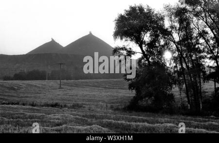 Eingereicht - 01. Januar 1992, Berlin, Ronneburg: Thüringen/DDR/Energie/1992 Uran Dumps in Ronneburg der Sanierung von großen umweltschäden begonnen hat. Der Heap abgeflacht ist und Terrassen sind, Büsche gepflanzt wird. Zugang für die Bevölkerung nicht für eine sehr lange Zeit möglich sein. Die Renovierung wird durch die Wismut AG durchgeführt werden. Ein Bagger verteilt eine Mischung von Mutterboden und Asche//Erzgebirge/Umwelt/Atom/URAN/Bergbau den deutsch-sowjetischen Aktiengesellschaft gegründet nach der Entstehung der DDR, der Sowjetunion weiter Zugang zu Uran im Erzge zu ermöglichen Stockfoto