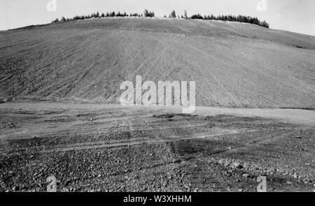 Eingereicht - 01. Januar 1992, Berlin, Aue: Sachsen/DDR/Energie/1992 Uran Dumps in Schlema in der Nähe von Aue, der Sanierung von großen Umweltschäden hat begonnen. Der Heap abgeflacht ist und Terrassen sind, Büsche gepflanzt wird. Zugang für die Bevölkerung nicht für eine sehr lange Zeit möglich sein. Die Renovierung wird durch die Wismut AG durchgeführt werden. Ein Bagger verteilt eine Mischung von Mutterboden und Asche//Erzgebirge/Umwelt/Atom/URAN/Bergbau den deutsch-sowjetischen Aktiengesellschaft gegründet nach der Entstehung der DDR, der Sowjetunion weiter Zugang zu Uran im Erzgeb zu ermöglichen Stockfoto