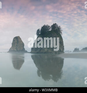 Sonnenaufgang über dem Pazifik durch Meeresbögen an einem Strand im Olympic National Park, La Push, Washington, USA Westküste usa Stockfoto