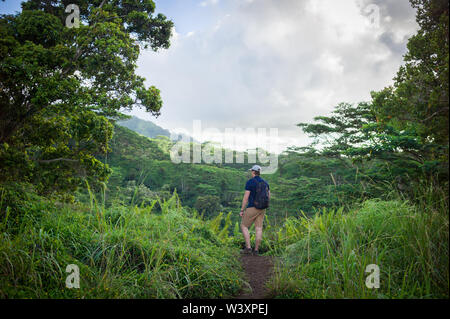 Die Kuilau Ridge Trail bietet Wanderern Zugang zu den üppigen Wäldern und atemberaubenden Blick auf die Berge und den Mount Waialeale Makaleha. Stockfoto