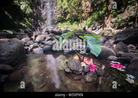 Uluwehi fällt, geheime fällt weg, Wailua, Kauai, Hawaii, USA, kann von einer trail Kayak auf dem Wailua River zugänglich erreicht werden. Stockfoto