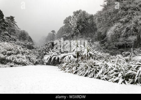 Trebah Garten; Schnee; Cornwall, UK Stockfoto