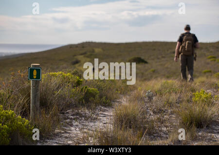 Agulhas National Park schützt Fynbos Lebensraum und bietet Wanderwege und Strand Kämmen in der Nähe von Cape Agulhas, Western Cape, Südafrika. Stockfoto