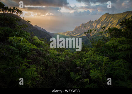 Kalalau Valley Lookout, Kokee State Park, Waimea Canyon ist eine atemberaubende Aussicht auf Kauai, Hawaii, USA. Stockfoto