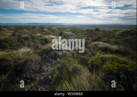 Agulhas National Park schützt Fynbos Lebensraum und bietet Wanderwege und Strand Kämmen in der Nähe von Cape Agulhas, Western Cape, Südafrika. Stockfoto