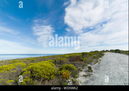 Agulhas National Park schützt Fynbos Lebensraum und bietet Wanderwege und Strand Kämmen in der Nähe von Cape Agulhas, Western Cape, Südafrika. Stockfoto