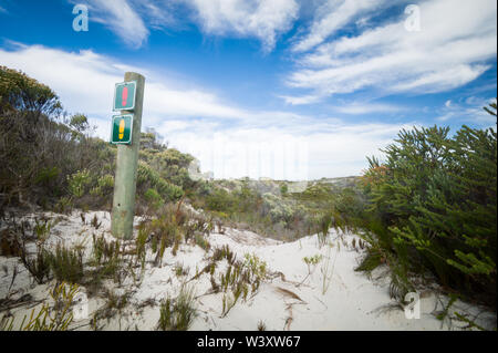 Agulhas National Park schützt Fynbos Lebensraum und bietet Wanderwege und Strand Kämmen in der Nähe von Cape Agulhas, Western Cape, Südafrika. Stockfoto