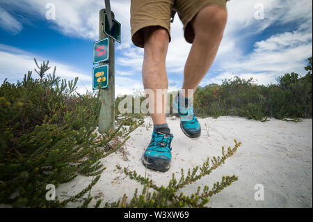 Agulhas National Park schützt Fynbos Lebensraum und bietet Wanderwege und Strand Kämmen in der Nähe von Cape Agulhas, Western Cape, Südafrika. Stockfoto