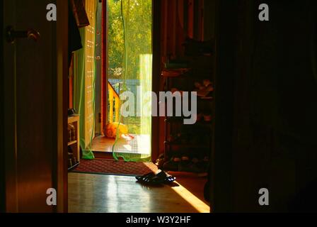 Ausfahrt aus dem Land Haus am Abend, Russland Stockfoto