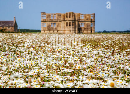 Bereich der margeriten von Lyveden New Bield in Northamptonshire GROSSBRITANNIEN - die unvollendete Shell der Elisabethanischen Thomas Tresham Summer's House Stockfoto