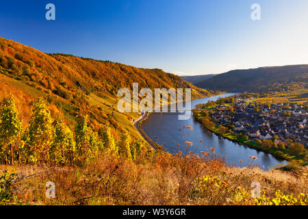 Herbst Landschaft der Mosel in Deutschland auf einem schönen Herbst Tag mit strahlendem Sonnenschein und blauem Himmel, in Deutschland, in Europa Stockfoto