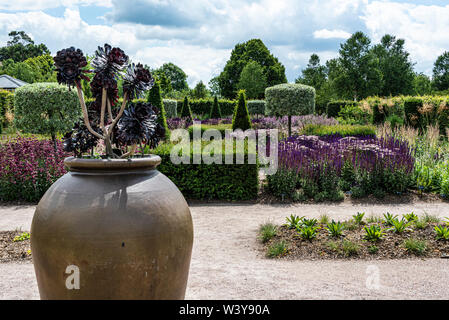 Die moderne Country Garden an der RHS Hyde Hall, im Sommer. Eine Mischung aus formgehölze, Hedging und Blumenrabatten. Stockfoto