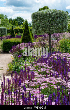 Die moderne Country Garden an der RHS Hyde Hall, im Sommer. Eine Mischung aus formgehölze, Hedging und Blumenrabatten. Stockfoto