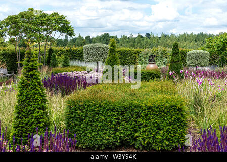 Die moderne Country Garden an der RHS Hyde Hall, im Sommer. Eine Mischung aus formgehölze, Hedging und Blumenrabatten. Stockfoto