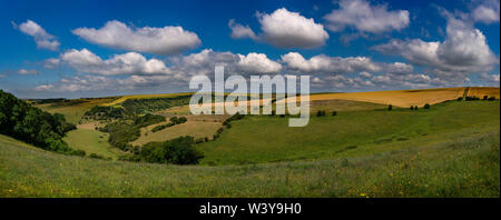 Norden unten trockenes Tal auf der South Downs zwischen Stanmer und Ditchling Beacon, East Sussex, Großbritannien Stockfoto