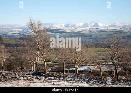 Cloud steigende entlang der Howgill Fells Blick von frostigen Schnee bedeckten Plateau von Scout Narbe eine klare helle Winter tag Kendal Cumbria Lake District, England Stockfoto